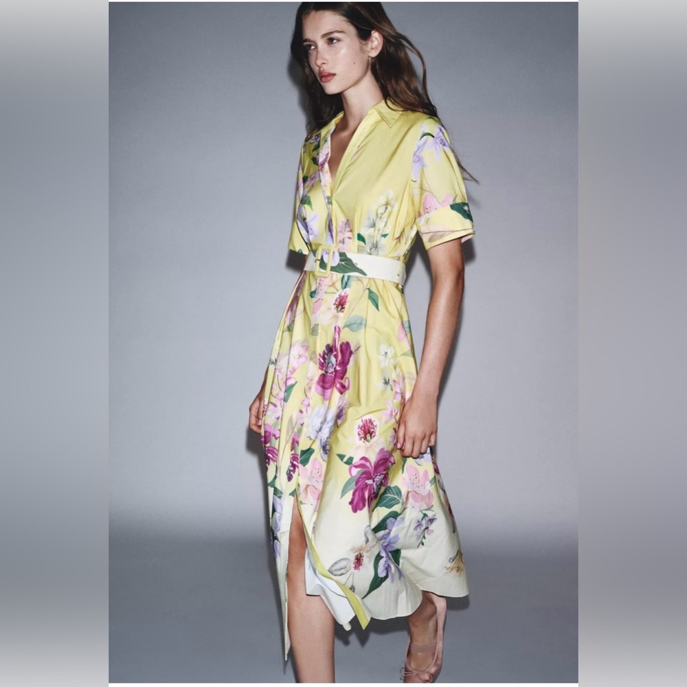 Zara Belted Floral Lapel Collar Dress